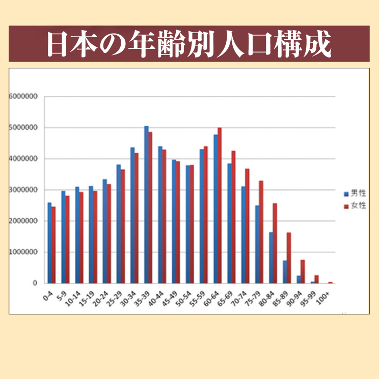 日本の人口構造