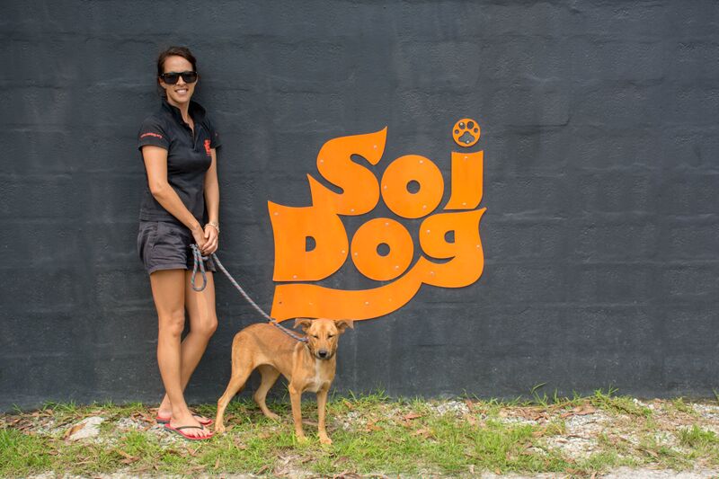 Soi Dog