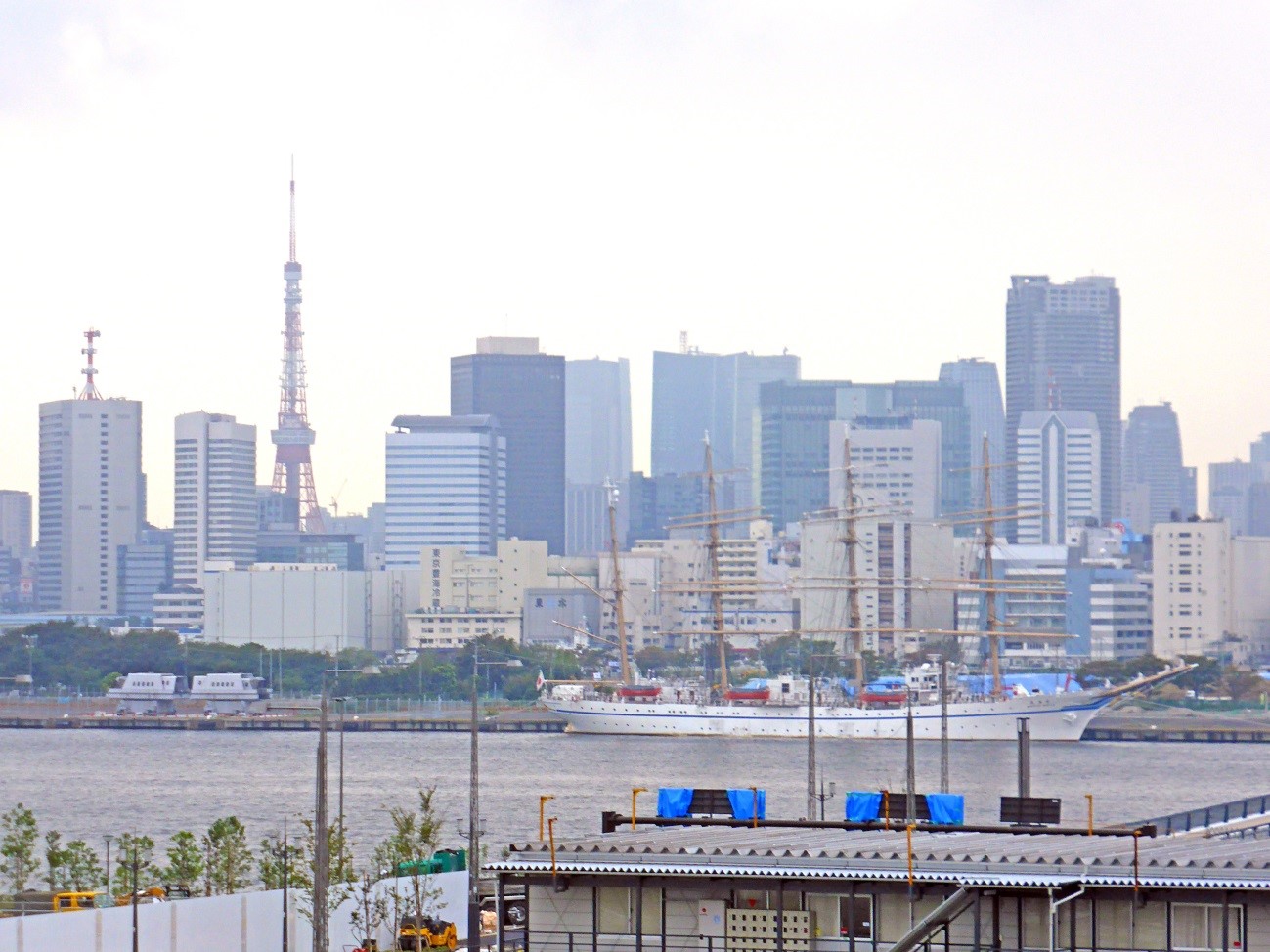 豊洲市場