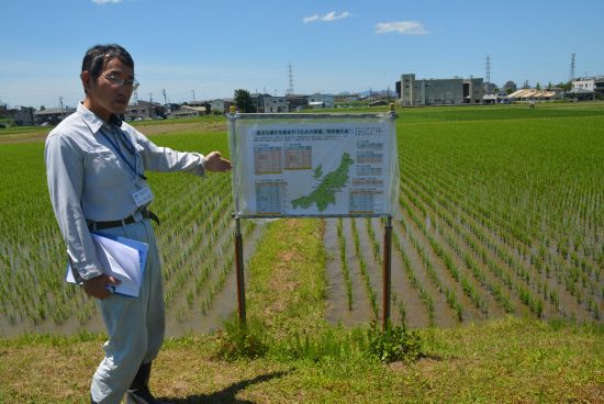 種子の生産を継続することとなった新潟県