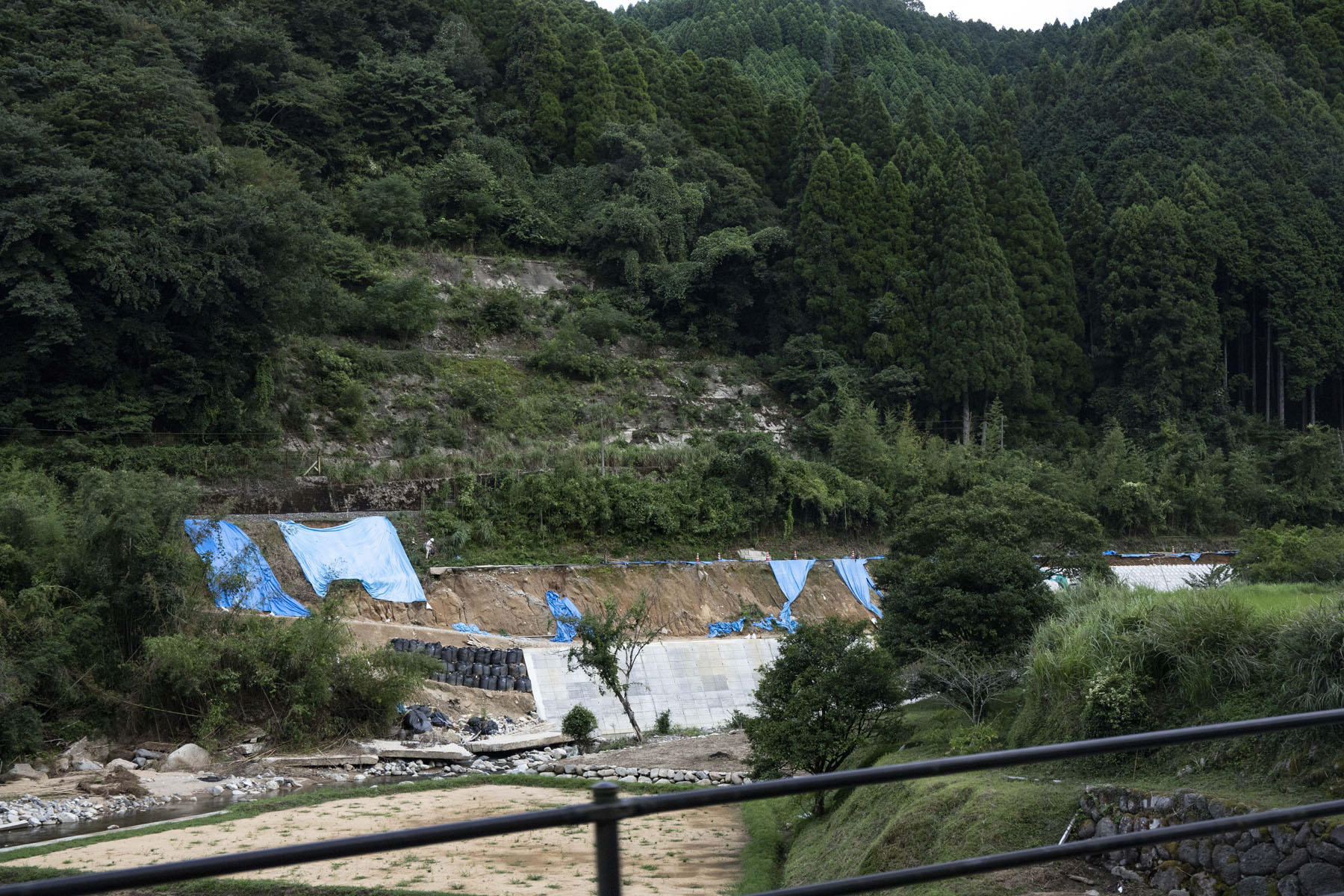 日田彦山