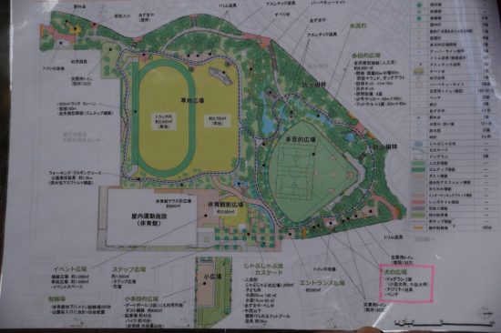中野区が作成した公園の再整備予想図。左側の草地広場（黄色い部分）の半分が陸上トラックになる (Large)
