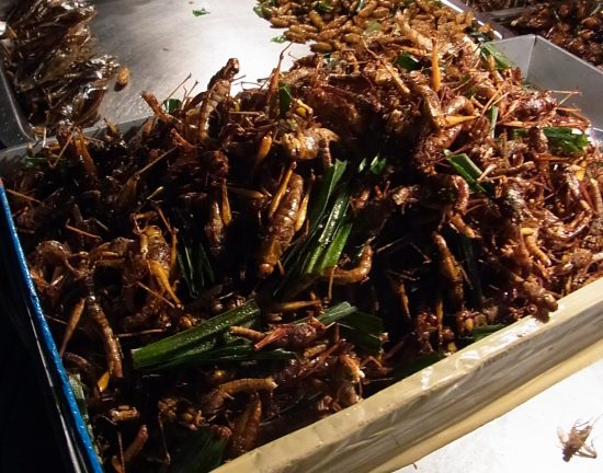 バンコクの屋台の昆虫料理