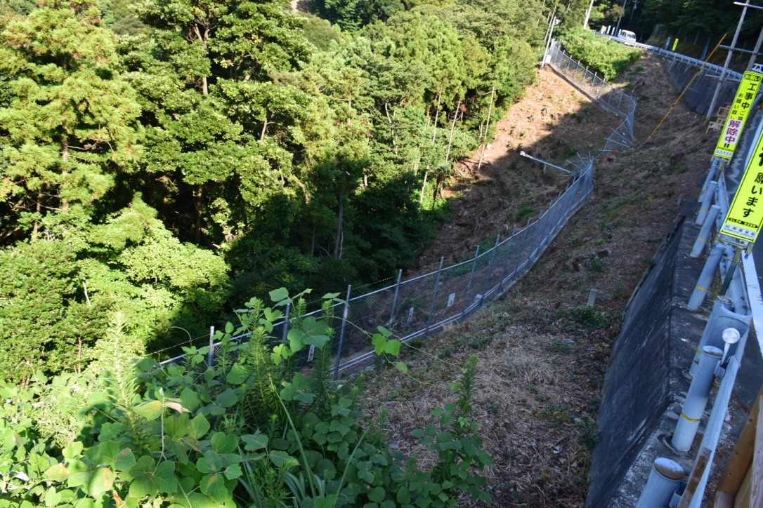 県道255号線道路陥没箇所3