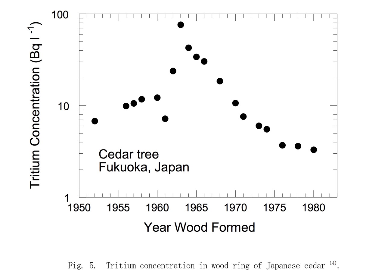 杉年輪中のトリチウム濃度