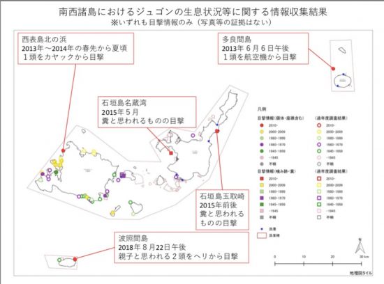 ジュゴンの目撃情報