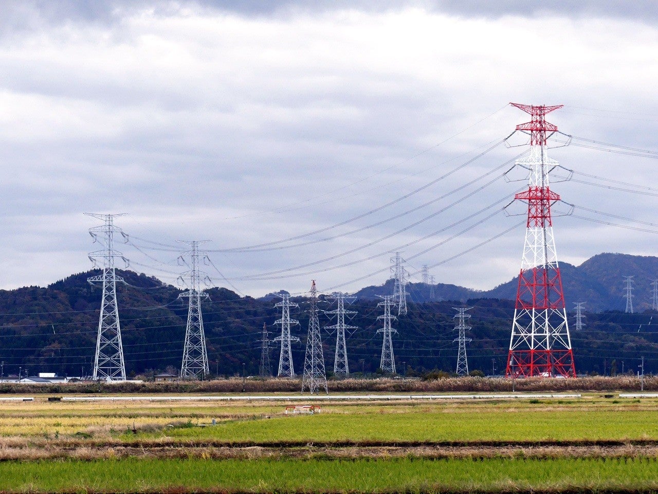 原発ムラ