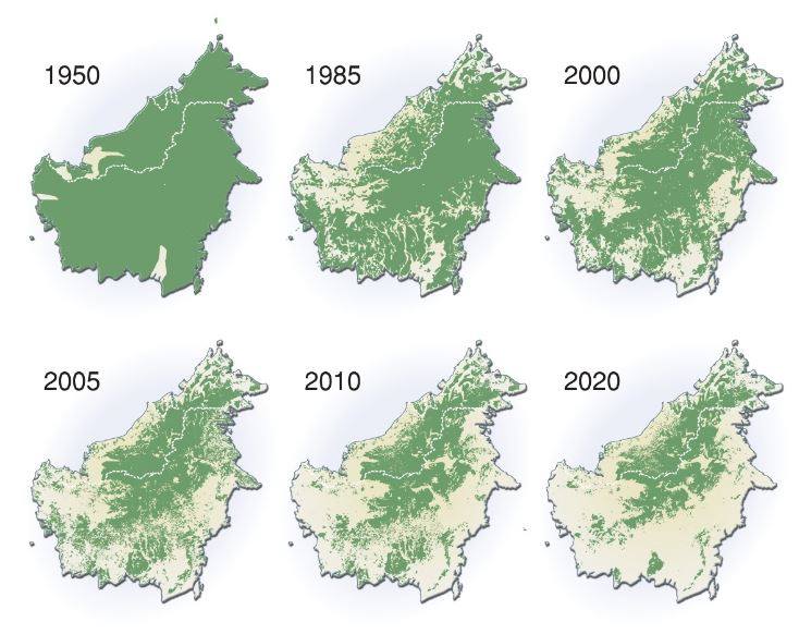 マレーシア・サラワク州の森林の変遷