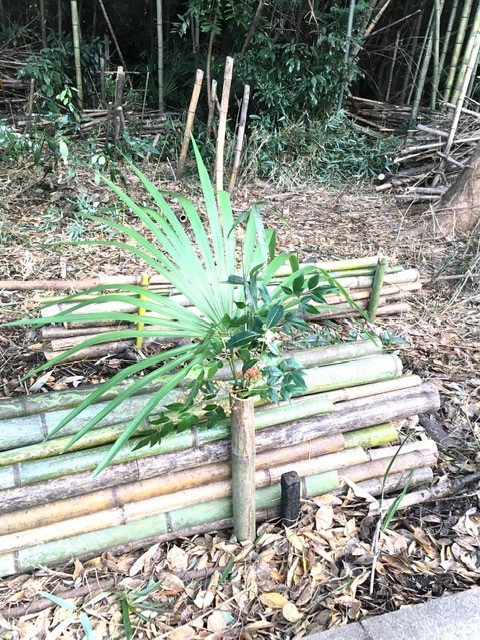 集まった仲間たちと荒れた竹林を調える