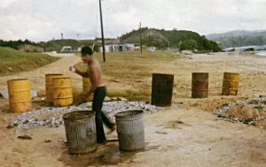 ベトナム戦争の 枯れ葉剤 が沖縄でも使われていた ハーバー ビジネス オンライン