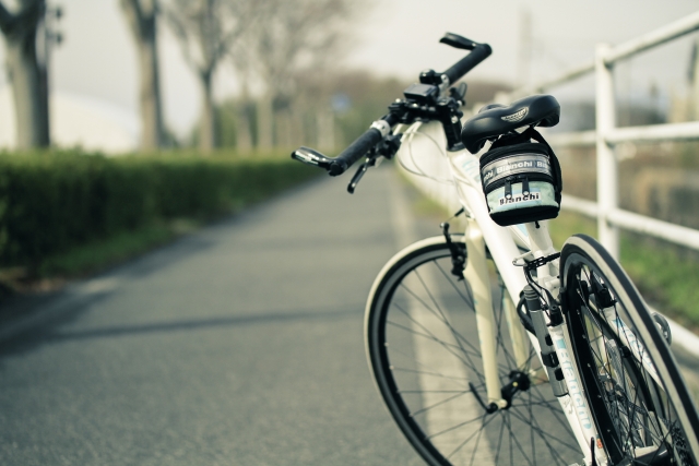 自転車の取り締りにも 青キップ制度 が必要なの ハーバー ビジネス オンライン