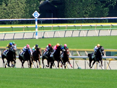 競馬ソフトの必勝法」はどこまで本当なのか？ « ハーバー・ビジネス・オンライン