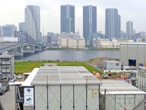 豊洲市場4街区