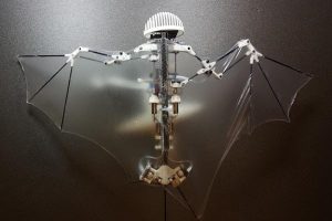 生物模倣型コウモリロボット