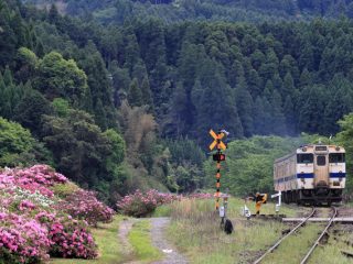 JR九州の日田彦山線