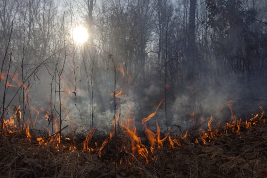 今年4月のシベリア南東部での火災