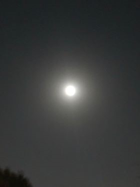 満月の写真3