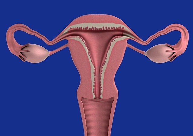 子宮を拡張するお茶は何ですか?