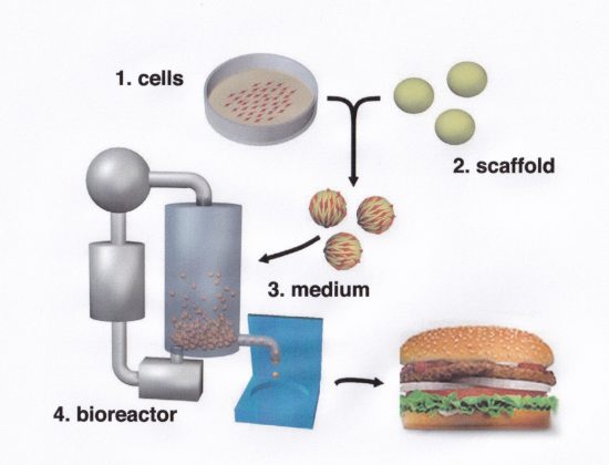 細胞培養肉製造の概念図