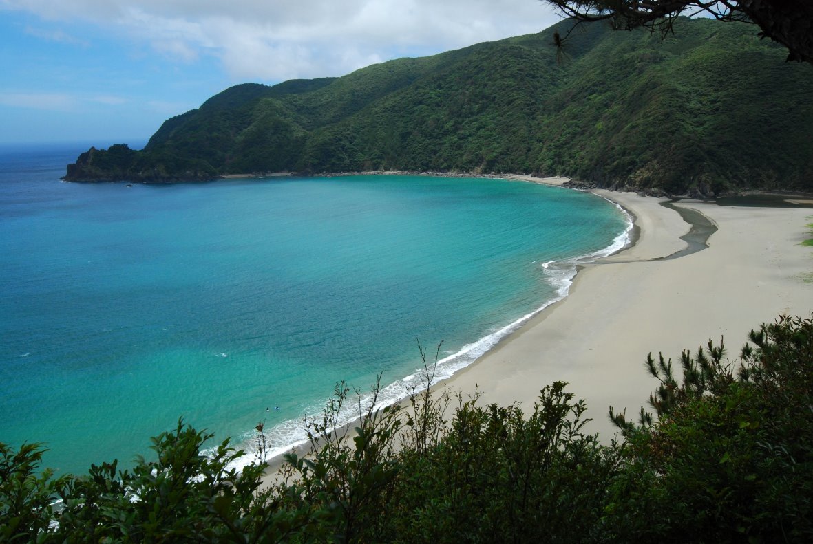 ウミガメも産卵する奄美大島 ジュラシック ビーチ が不要な護岸工事で破壊される ハーバー ビジネス オンライン