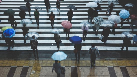 お仲間 は公金で花見饗応の一方 国民は円安と消費税で貧しくなっただけ 明石順平氏 ハーバー ビジネス オンライン