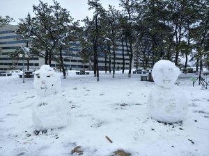 金日成総合大学の校庭の雪