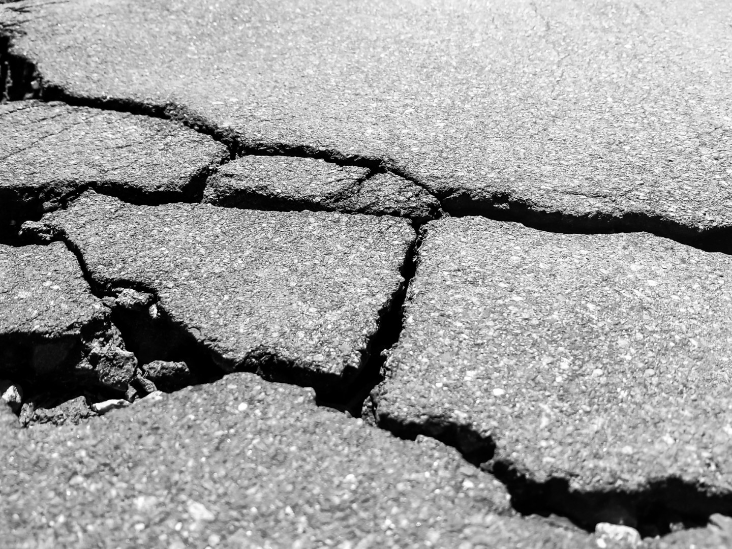 なぜ福島原発事故の原因は 地震 ではなく 津波 とされたのか ハーバー ビジネス オンライン ページ 2