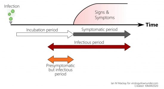 ウィルス感染から発症までの時系列