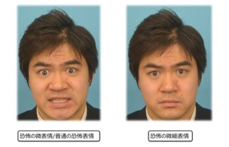 「微表情の観察は、洞察を得る窓口」表情研究の大家マツモト博士が語る、微表情分析の魅力と活用