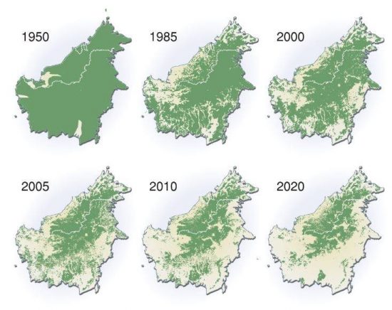マレーシア・サラワク州の森林の変遷