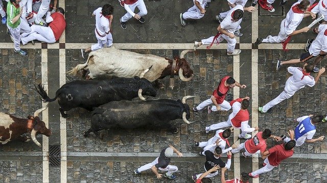スペイン3大祭の2つがすでに中止決定。残る「牛追い祭り」で一悶着